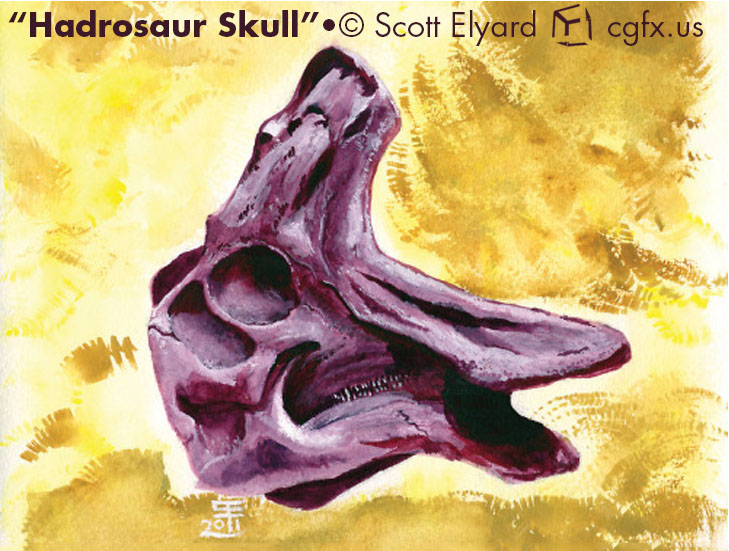 Watercolor of an Hadrosaur Skull