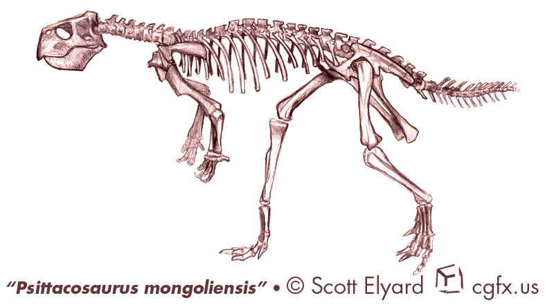 Psittacosaurus mongoliensis Color Pencil
